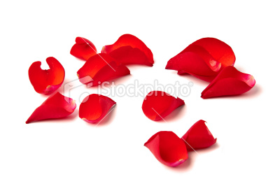 petals