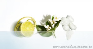 Dior Homme Cologne Ingredients
