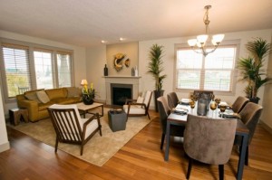 Small-Living-Room-Dining-Room-Combo-Ideas-800x532