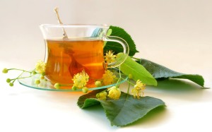 tilia